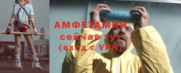 дживик Няндома