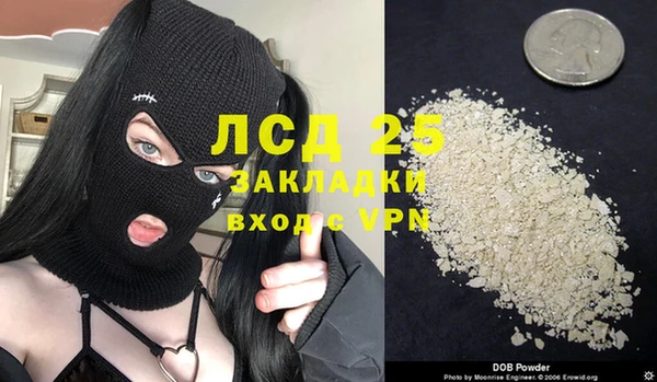 стаф Абинск