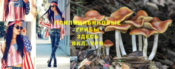 мескалин Абаза