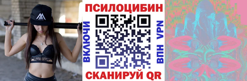Псилоцибиновые грибы прущие грибы  Сафоново 